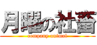 月曜の社畜 (company animal)