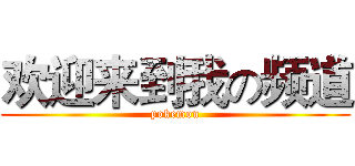 欢迎来到我の频道 (pokemon)