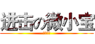 进击の微小宝 (高薪招聘)