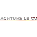 ＡＣＨＴＵＮＧ ＬＥ ＣＵＲＶＩＣＡ (umar)