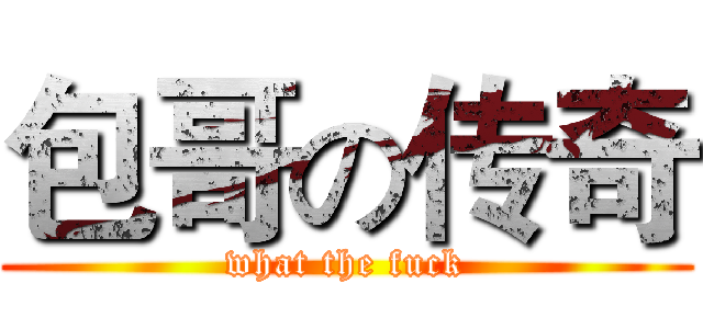包哥の传奇 (what the fuck)