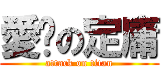 愛妳の定庸 (attack on titan)