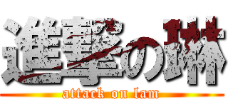 進撃の琳 (attack on lam)