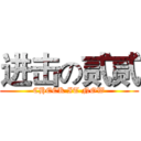 进击の贰贰 (CHECK IT NOW)