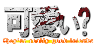 可愛い🩷 (They're really good friends)