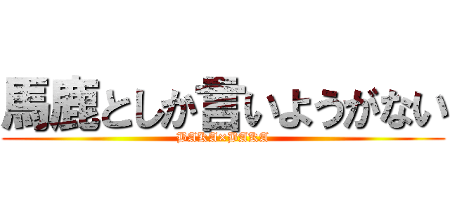 馬鹿としか言いようがない (BAKA×BAKA)