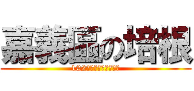 嘉義區の培根 (102年農村再生輔導團隊)