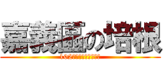 嘉義區の培根 (102年農村再生輔導團隊)