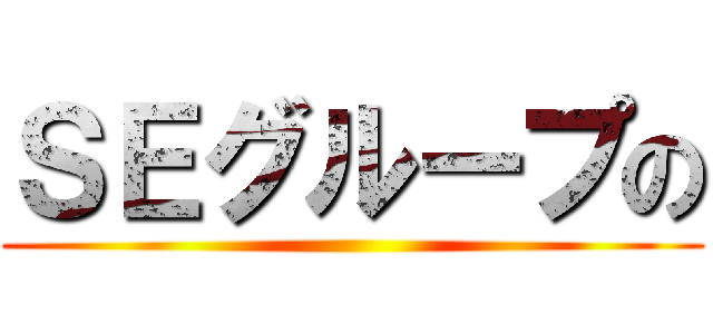 ＳＥグループの ()