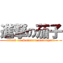 進撃の茄子 (attack on Solanum melongena)