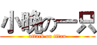 小晚の一只 (attack on titan)