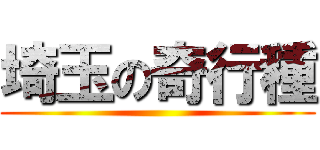埼玉の奇行種 ()