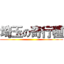 埼玉の奇行種 ()