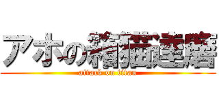 アホの箱猫達磨 (attack on titan)