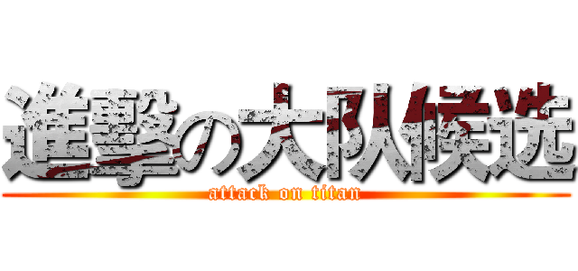 進擊の大队候选 (attack on titan)