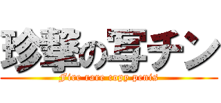 珍撃の写チン (Fire rare copy penis)