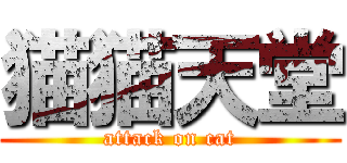 猫猫天堂 (attack on cat)