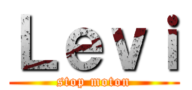 Ｌｅｖｉ (stop moton)