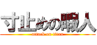寸止めの暇人 (attack on titan)