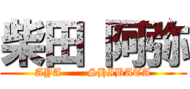 柴田 阿弥 (AYA       SHIBATA)