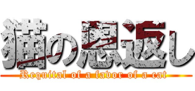 猫の恩返し (Requital of a favor of a cat )