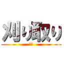 刈り取り (変異)
