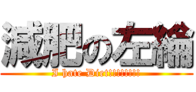 減肥の左綸 (I hate Diet!!!!!!!!)
