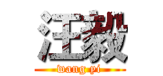 汪毅 (wang yi)
