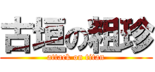 古垣の粗珍 (attack on titan)