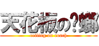 天花板の蟑螂 (ceiling on roach)