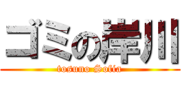 ゴミの岸川 (tosuno Sofia)
