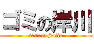 ゴミの岸川 (tosuno Sofia)
