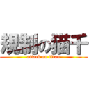 規制の猫千 (attack on titan)