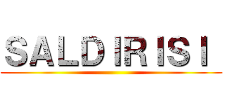 ＳＡＬＤＩＲＩＳＩ  ()