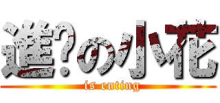 進擊の小花 (  is enting)