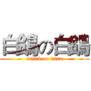 白鴿の白鴿 (attack on titan)