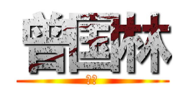 曾国林 (作家)