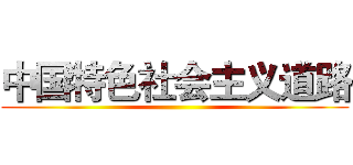 中国特色社会主义道路 ()
