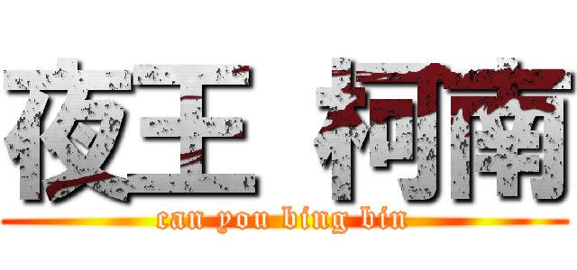 夜王 柯南 (can you bing bin)