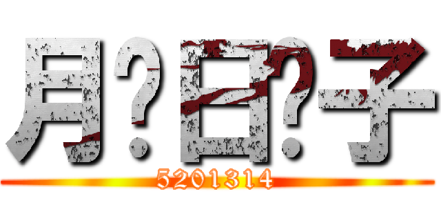 月饼日饺子 (5201314)