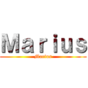 Ｍａｒｉｕｓ (Marius)