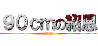 ９０ｃｍの紹恩 (90cm)