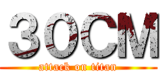 ３０ＣＭ (attack on titan)