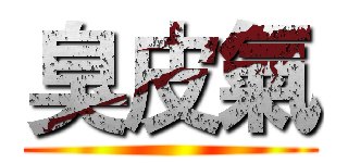 臭皮氣 ()