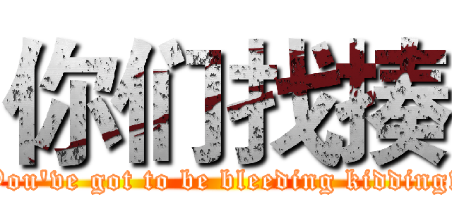 你们找揍 (You've got to be bleeding kidding!)