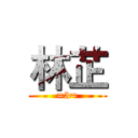 林芷 (=3=)