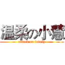 温柔の小慧 (attack on lovely)