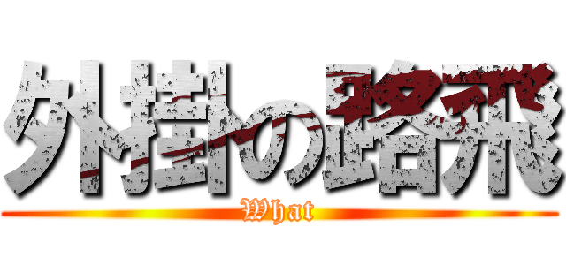 外掛の路飛 (What)
