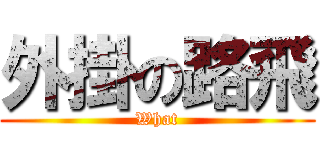 外掛の路飛 (What)