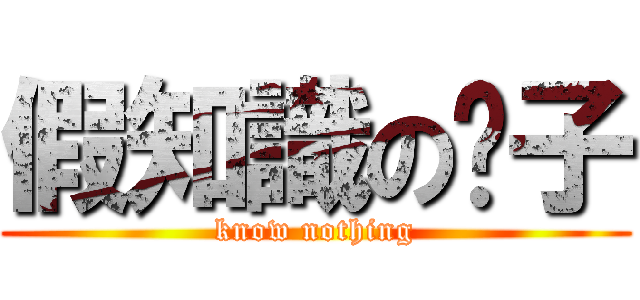 假知識の份子 (know nothing)